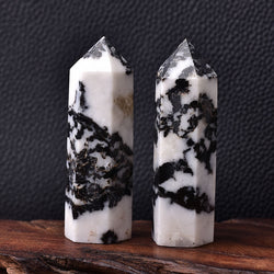 Zebra Jasper