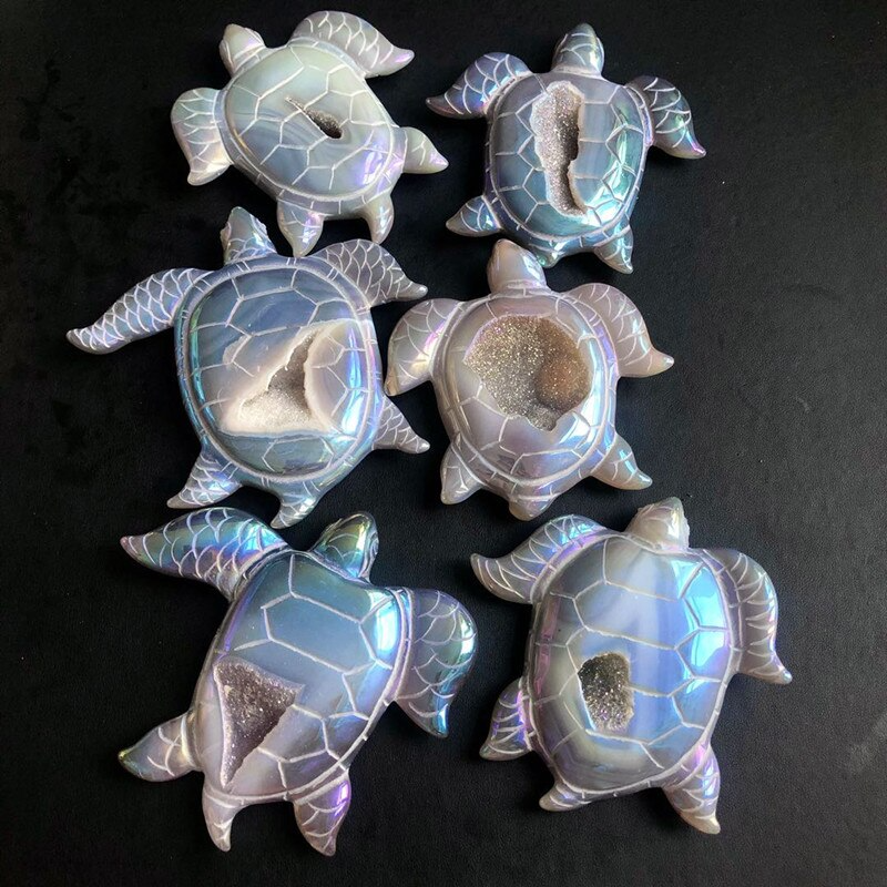 Shimmering Sea Turtle