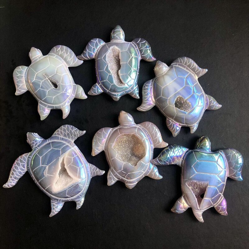 Shimmering Sea Turtle