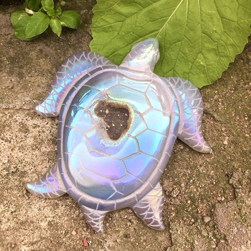 Shimmering Sea Turtle